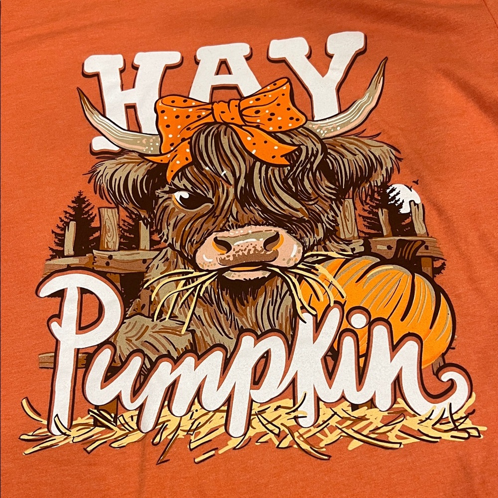 NWT Medium Orange Graphic Tee with Cow and Pumpkin Design Lulu Mac brand